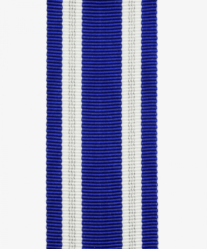 NATO application medal 2 silver stripes (166)
